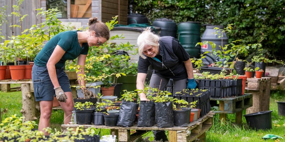 Buxton Civic Association Tree nursery Aug24